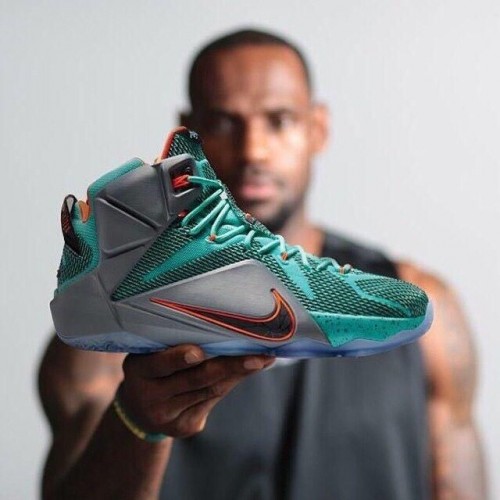 nike lebron nsrl