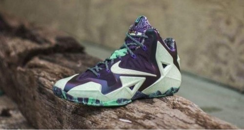 lebron 11 gator king