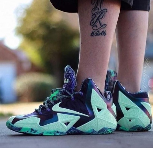 lebron 11 gator king