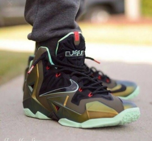 kings pride lebron