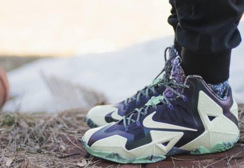 lebron gator king 11