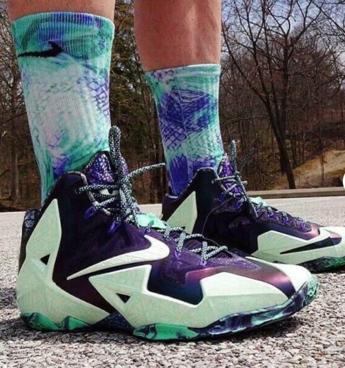 lebron 11 gator king
