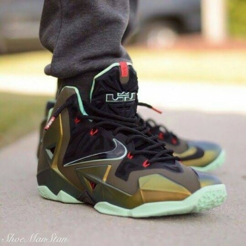 lebron kings pride shoes