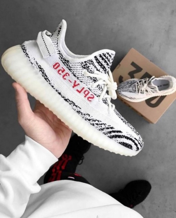 yeezy sply 350 zebra