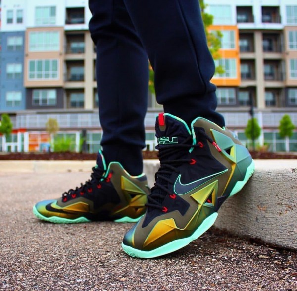 nike lebron kings pride