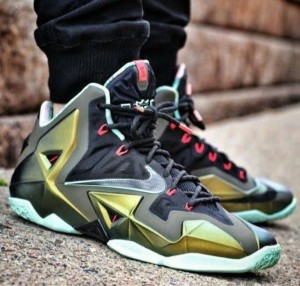 kings pride lebron