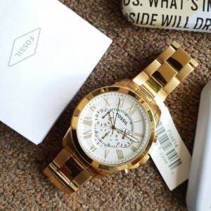 fossil grant steel case