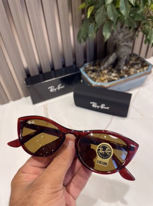 ray ban cat eye browns 