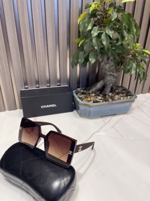 chanel ladies brown