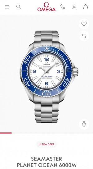 Omeg_a Seamaster Planet Ocean 600M