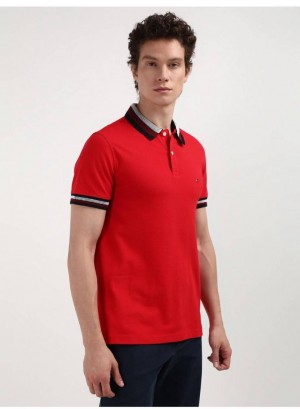 Tomm_y Hilfige_r Premium Imported Polo Tshirt Red (661)
