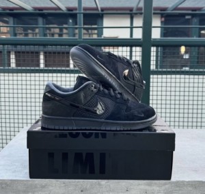 NIKEE SB DUNK LOW DUCK OF THE FEATHER BLACK UNIVERSITY fixed