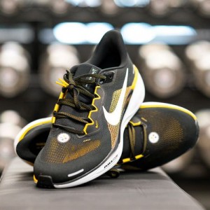Nikee Zoom Pegasus 41 Pittsburgh Steelers