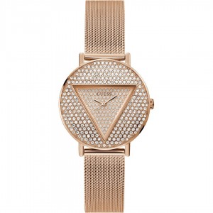 Gues_s Crystal Copper - J198