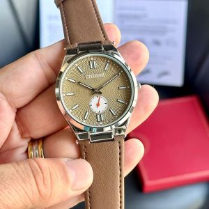 CITIZEN_BROWN_SILVER