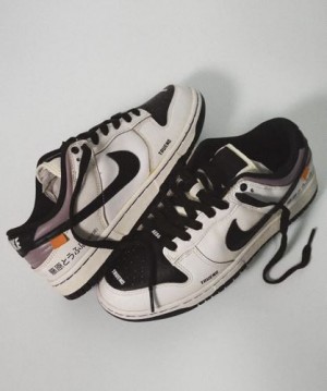 NIk_e SB dunk low Iniator ae86 with accessories