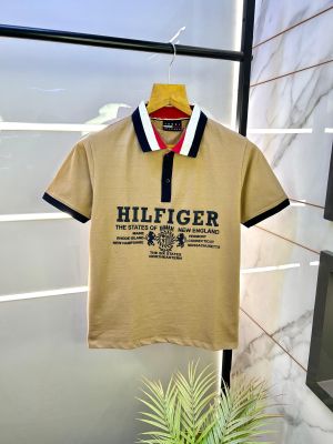 Tommy_Hilfiger Brown Polo Premium Collar Neck T-shirt F2578-BR