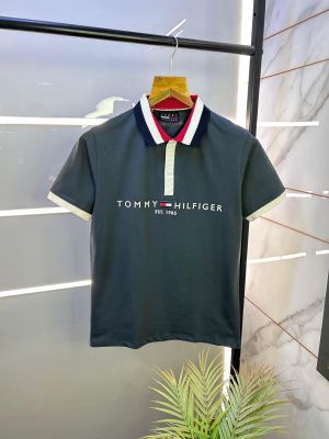 Tommy_Hilfiger Grey Polo Premium Collar Neck T-shirt F2578-GY
