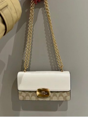 Coach_brown_Eliza_Sling_With_Original_Box