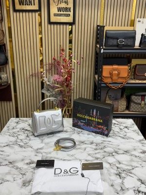 Dolce_&_Gabbana_lacquered_bag_mini_DG Logo_(Silver)