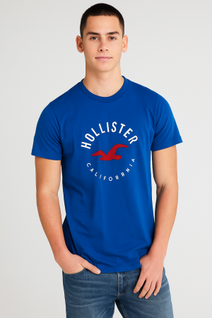 SALE HOLLISTER BLUE PREMIUM TSHIRT