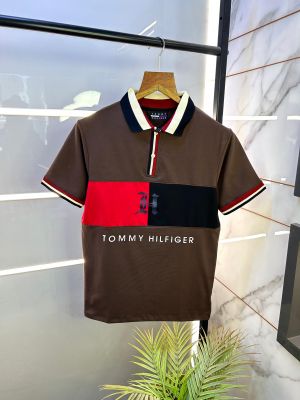 Tommy_Hilfiger Brown Polo Premium Collar Neck T-shirt F2581-BR
