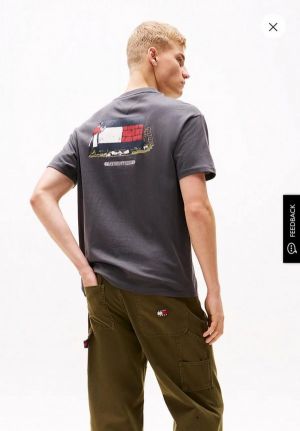 Tommy Hilfige r Grey Premium Printed Design Round Neck Tshirt 2084