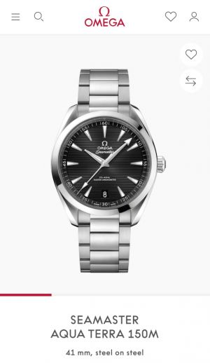 Omeg_a seamaster 150m aqua terra