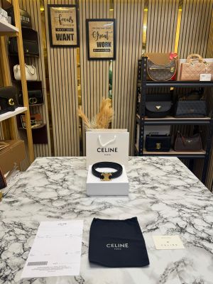Celine Premium Quality Golden Buckle Leather Belt With Box And Dust Bag Including Carry Bag (4-1)