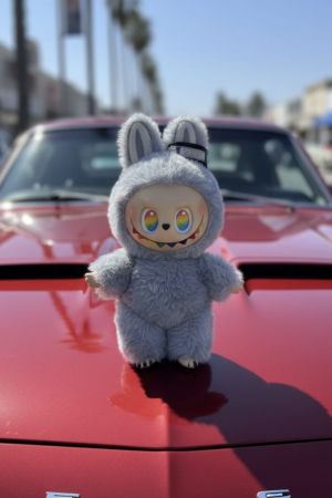 LABUBU DOLL IMPORTED BOX PACK