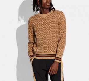 COAC_H IMPORTED BROWN MONOGRAM PULLOVER 