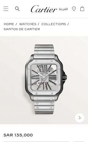 Cartie_r Santos Skeleton Battery Silver-Black
