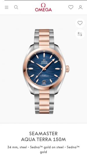 Omeg_a Seamaster Aqua Terra