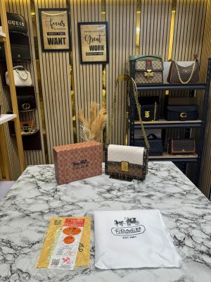 Coach_Hutton_Sling_Bag_With_Box_Dustbag_(Brown)