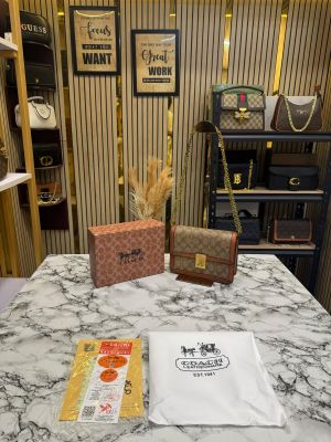 Coach_Hutton_Sling_Bag_With_Box_Dustbag_(Khaki)