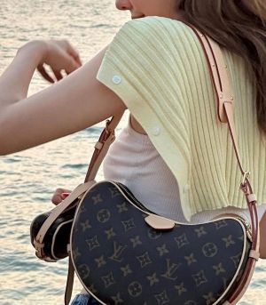 _Louis_vuitton_croissant_combo_bag_with_dust_bag_and_carry_bag(M46828)