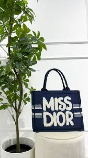 _Miss_dior_book_tote_with_og_box