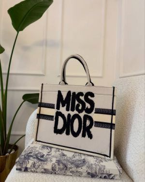 _Miss_dior_book_tote_with_og_box