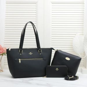 COACH_Premium_3pcs_Tote_Bag_1013