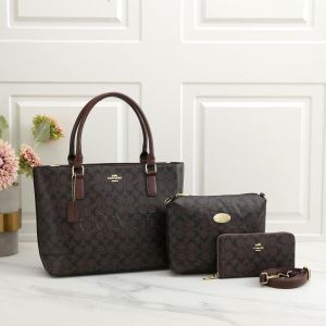 COACH_Premium_3pcs_Tote_Bag_1014