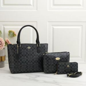 COACH_Premium_3pcs_Tote_Bag_1016