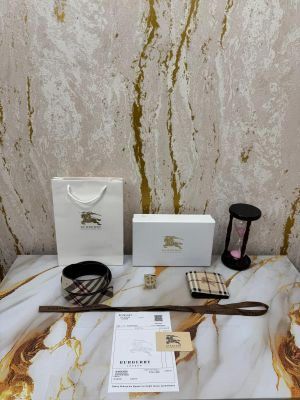 Burberry_Wallet_Belt_combo_With_Box_And_Dust_Bag(B66-1_Apricot)