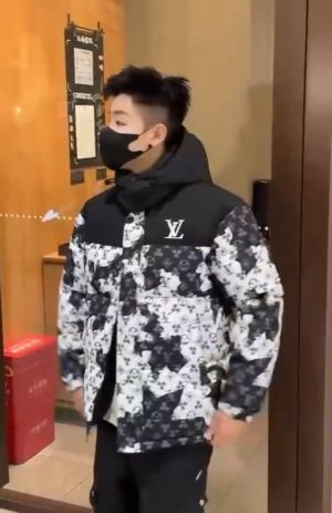 Louis.Vuitton.100%.Imported.All.Over.Printed.Very.Premium.Heavy.Puffer.Jacket.With.Detachable.Hood.CS215