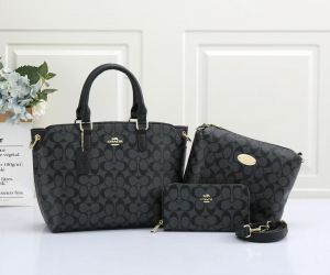COACH_Premium_3pcs_Tote_Bag_1037