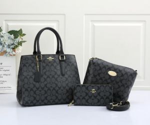 COACH_Premium_3pcs_Tote_Bag_1039