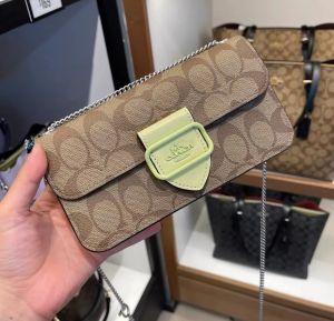 Coach_Morgan_Small_Shoulder_Crossbody_Bag_With_OriginalBox_CarryBag_Premium_Highend_Quality