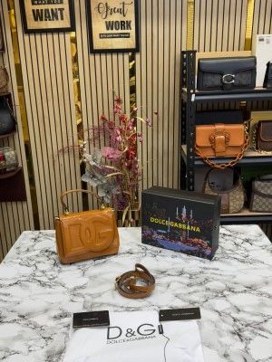 Dolce_&_Gabbana_lacquered_bag_mini_DG Logo_(Brown)