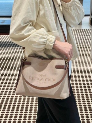 Coach_hana carryall canvas sling bag premium quality with box 