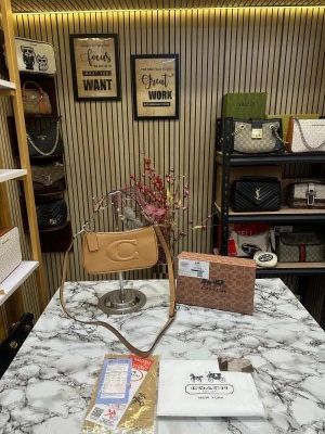 Coach_Teri_Shoulder_Bag_With_Box_And_Dust_Bag_(Khaki)