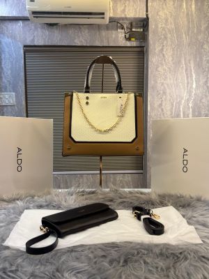 Aldo_Bone_CATYLA_Color_Block_Medium_Tote_with_box_5801